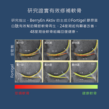 Berry.En AKTIV - for Healthy Joints